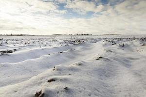 gepflügtes Feld unter Schnee foto