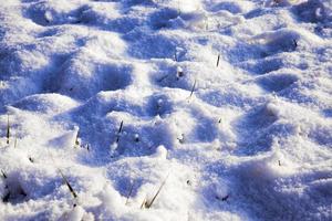 schneekalte Verwehungen foto