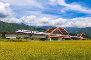 Kecheng-Brücke in der Nähe des Bahnhofs Yuli in Hualien, Taiwan foto