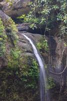 ein natürlicher Wasserfall in einem großen Wald inmitten wunderschöner Natur. foto