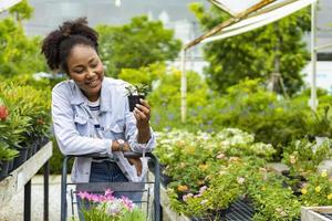 Der junge afrikanische Kunde wählt eine exotische Pflanze aus der Gärtnerei des örtlichen Gartencenters mit einem Einkaufswagen voller Sommerpflanzen für die Gartenarbeit am Wochenende und die Verfolgung im Freien foto