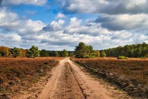 in der Neuruppinaer Heide. in herbstliche Lichtstimmung. foto