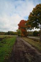 Im Saarland sehen Wälder, Wiesen und Solitärbäume im Herbst aus. foto