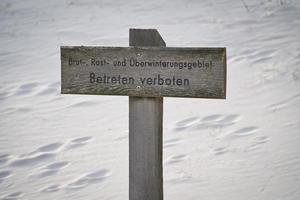 schild, badeverbot, betreten verboten, im nationalpark, auf dem darß. foto