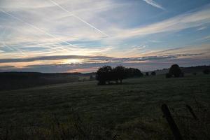 aufgehende Sonne auf nebliger Wiese am Morgen im Saarland foto