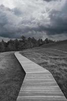 Wanderweg in Schwarz-Weiß, über einen Holzsteg zur Hohen Düne auf dem Darß. foto