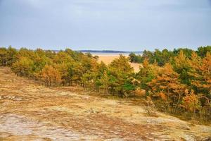 Blick auf die hohe Düne auf dem Darß. Wald, Düne, Sand und Himmel. Standpunkt foto