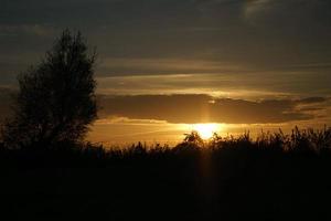 untergehende Sonne am Stadtrand von Berlin. der Himmel scheint zu brennen. foto