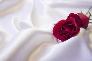 rote Rose auf weißem Tuch foto