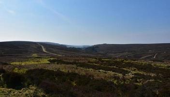 schöne wilde Heide und Moore, die sich über die Landschaft erstrecken foto