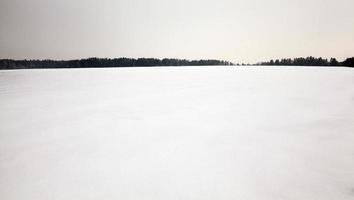 Winterlandschaft, Schneefall foto