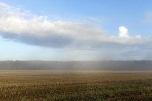 Nebelmorgen, Feld foto