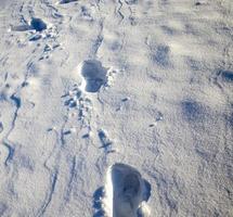 Spurrillen auf einer schneebedeckten Straße foto