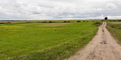 landwirtschaftliches Feld, Straße foto