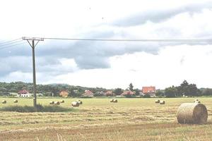 Strohballen am Stadtrand von Miskolc im großen Feld mit Häusern foto