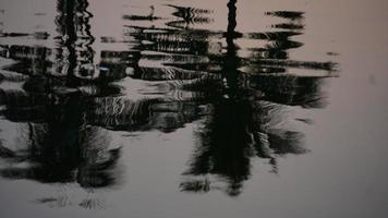 Reflexionstrieb des Baums im Wasser foto