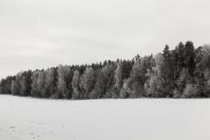 Schneeverwehungen im Winter foto