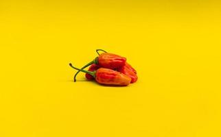 Nahaufnahmefoto von rotem Chili mit gelb isoliertem Hintergrund foto