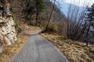 2022 03 12 luserna asphaltstraße schlängelt sich zwischen felsen und bäumen foto