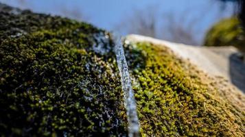 2022 03 19 arsiero Wasserrinnen und Schatten foto