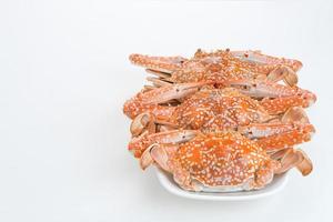 Gedämpfte blaue Krabbe auf Teller serviert, Zubereitung von Speisen foto