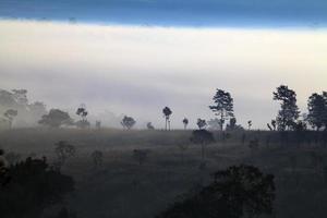 Sonnenaufgang am nebligen Morgen im Nationalpark Thung Salang Luang Phetchabun, Tung Slang Luang ist eine Grasland-Savanne in Thailand foto