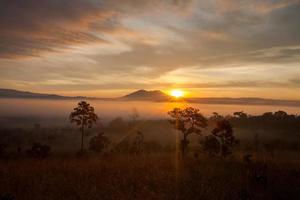 Sonnenaufgang am nebligen Morgen im Thung Salang Luang Nationalpark Phetchabun foto