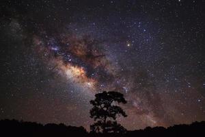 nahaufnahme der milchstraße und der silhouette des baums, langzeitbelichtungsfoto foto