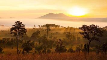 Sonnenaufgang am nebligen Morgen im Thung Salang Luang Nationalpark Phetchabun, Thailand foto