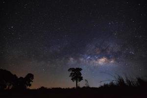 Milchstraße und Baumsilhouette. Foto mit Langzeitbelichtung. Mit Körnung