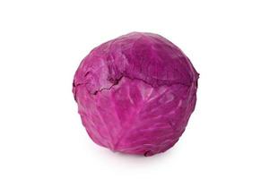 rotkohl auf weiß foto