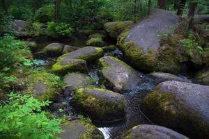 ein bergfluss mit riesigen steinen mit grünem moos. wilder wald der taiga. foto