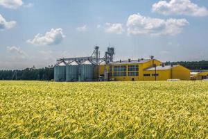 Silos und agroindustrieller Viehkomplex in einer landwirtschaftlichen Verarbeitungs- und Produktionsanlage mit modernem Getreideaufzug. Hühnerfarm. Reihen von Hühnerstall foto