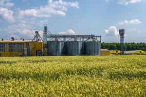 luftaufnahme von silos und agro-industriellen viehkomplexen auf agro-verarbeitungs- und produktionsanlagen mit modernem kornaufzug. Hühnerfarm. Reihen von Hühnerstall foto