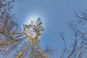 kleiner Planet. sphärische Luft 360 Panoramaansicht im Winterwald im Winter sonniger Tag auf blauem Hintergrund foto