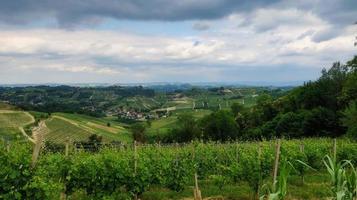 die weinberge von monta d'alba in der piemontesischen langhe, während einer mangialonga im juni 2022 foto