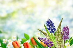 Helle und bunte Blumentulpen auf dem Hintergrund der Frühlingslandschaft. foto