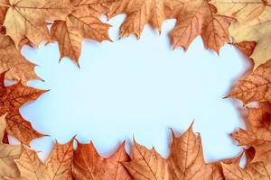 Herbstlandschaft mit leuchtend buntem Laub. Indischer Sommer. foto