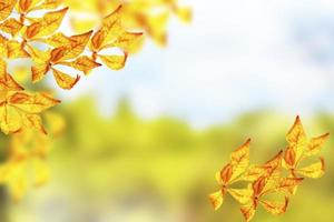 Herbstlandschaft mit leuchtend buntem Laub. Indischer Sommer. foto