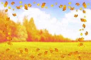 Herbstlandschaft mit leuchtend buntem Laub. Indischer Sommer. foto