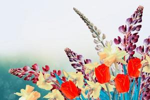 helle und bunte frühlingsblumen narzissen und tulpen foto