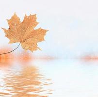 Herbstlandschaft mit leuchtend buntem Laub. Indischer Sommer. foto