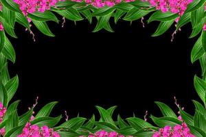 zarte Orchideenblüten auf schwarzem Hintergrund isoliert. foto