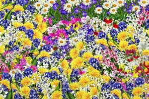 abstrakter Blumenhintergrund foto