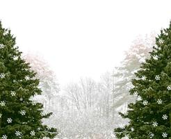 Wald im Frost. Winterlandschaft. schneebedeckte Bäume foto