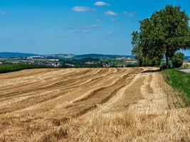 Feld nach der Ernte von Weizen und Heu. natürliche Landwirtschaft. foto