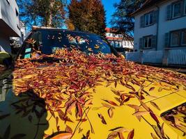 Herbstfarben in der Stadt Straßburg. gelb, rot, orange foto