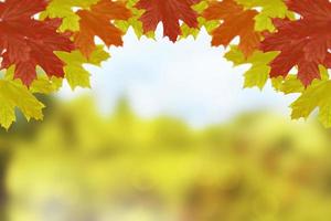 Herbstlandschaft mit leuchtend buntem Laub. Indischer Sommer. foto