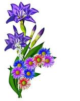 blaue Irisblüte isoliert auf weißem Hintergrund foto
