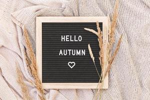 herbstlicher Hintergrund. schwarzes buchstabenbrett mit textphrase hallo herbst und getrocknetem gras, das auf weißem strickpullover liegt. Ansicht von oben, flach liegend. Thanksgiving-Banner. Hygge-Stimmungskonzept für kaltes Wetter foto